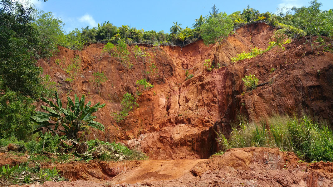 Seychellen-Landschaft- (258)