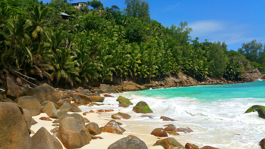 Seychellen-Landschaft- (260)