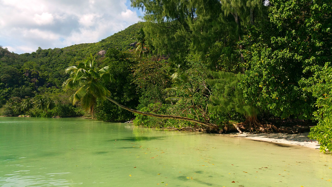 Seychellen-Landschaft- (262)