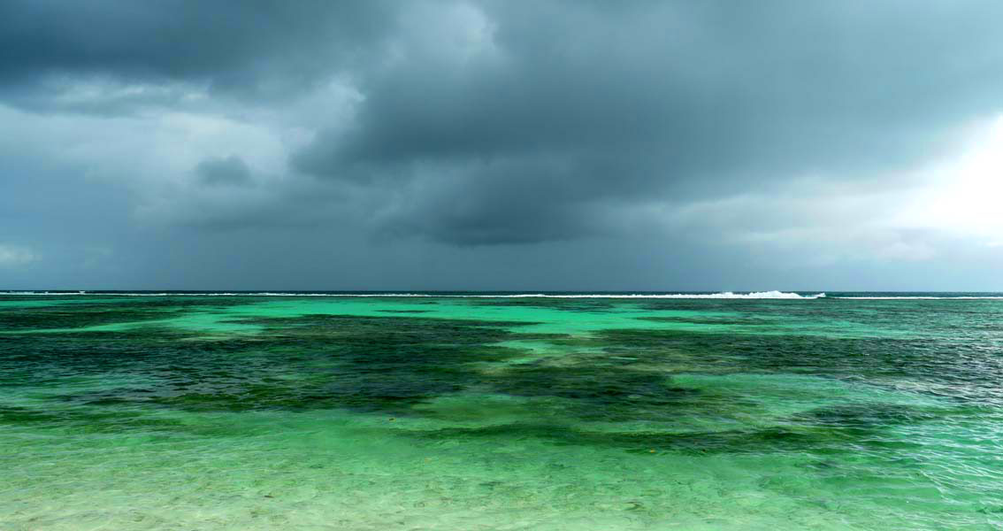 Seychellen-Landschaft- (312)