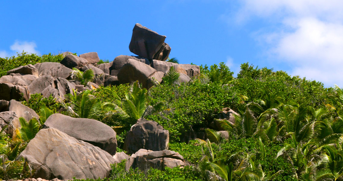 Seychellen-Landschaft- (315)