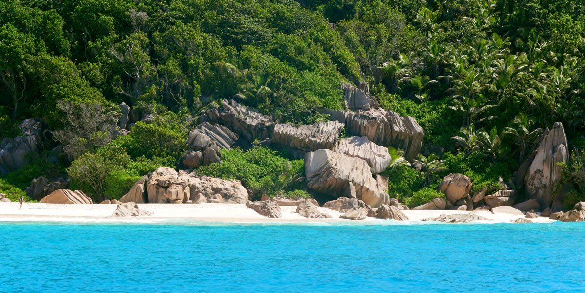 Seychellen-Landschaft- (330)