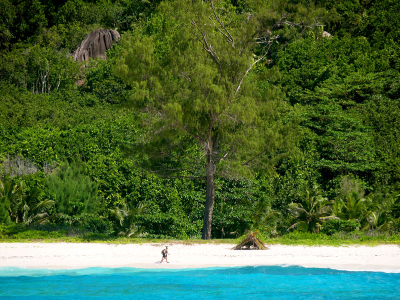 Seychellen-Landschaft- (37)