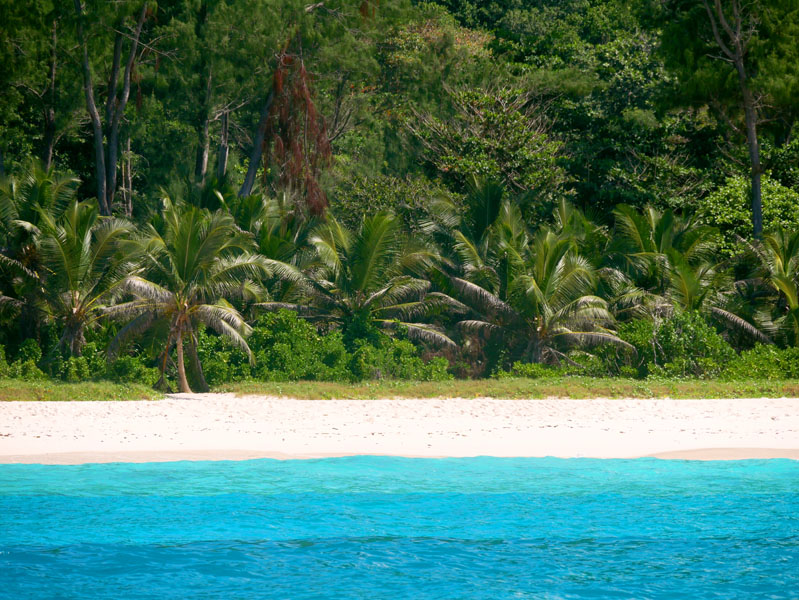 Seychellen-Landschaft- (38)