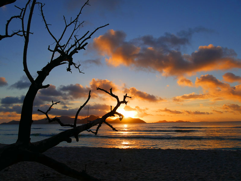 Seychellen-Landschaft- (52)