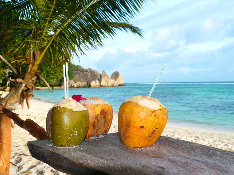 Seychellen-Landschaft- (86)