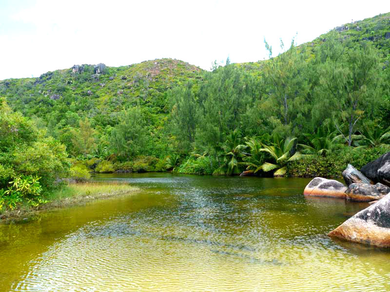 Seychellen-Landschaft- (91)