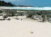 Seychellen-Landschaft- (104)