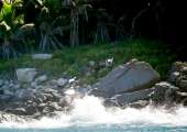 Seychellen-Landschaft- (114)