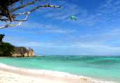 Seychellen-Landschaft- (117)
