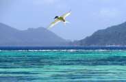 Seychellen-Landschaft- (152)