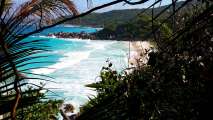 Seychellen-Landschaft- (247)
