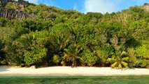 Seychellen-Landschaft- (250)