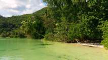 Seychellen-Landschaft- (262)