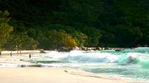 Seychellen-Landschaft- (289)