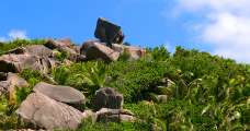 Seychellen-Landschaft- (315)