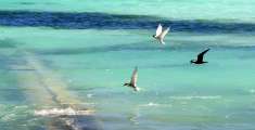 Seychellen-Landschaft- (324)