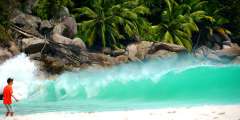 Seychellen-Landschaft- (333)