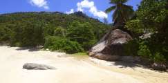 Seychellen-Landschaft- (338)