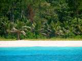 Seychellen-Landschaft- (38)