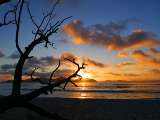Seychellen-Landschaft- (52)