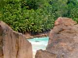 Seychellen-Landschaft- (57)
