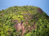 Seychellen-Landschaft- (58)