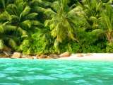 Seychellen-Landschaft- (60)