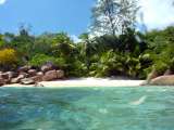 Seychellen-Landschaft- (63)