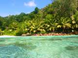 Seychellen-Landschaft- (71)