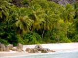 Seychellen-Landschaft- (73)