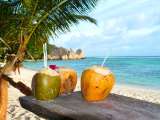 Seychellen-Landschaft- (86)