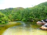 Seychellen-Landschaft- (91)