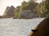 Seychellen-Landschaft- (99)