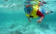 Seychellen-Unterwasser (62)