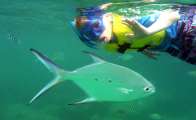 Seychellen-Unterwasser (65)