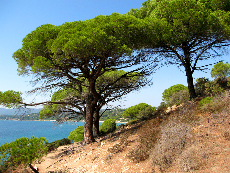 Frankreich-Landschaft (18)