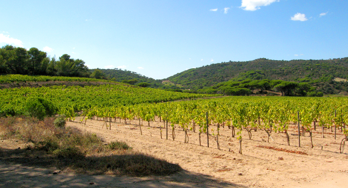 Frankreich-Landschaft (31)